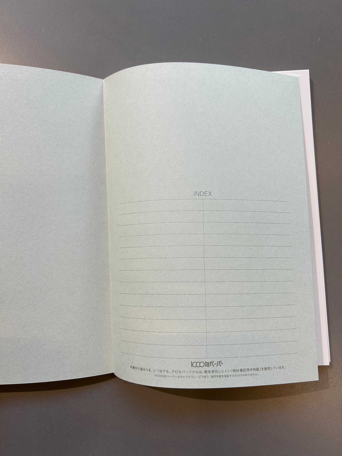 Apica Personal notebook, close-up van de indexpagina